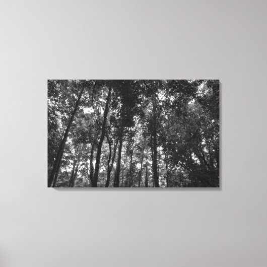 Woodland Canopy 02 BW Canvas Afdruk (Voorkant)
