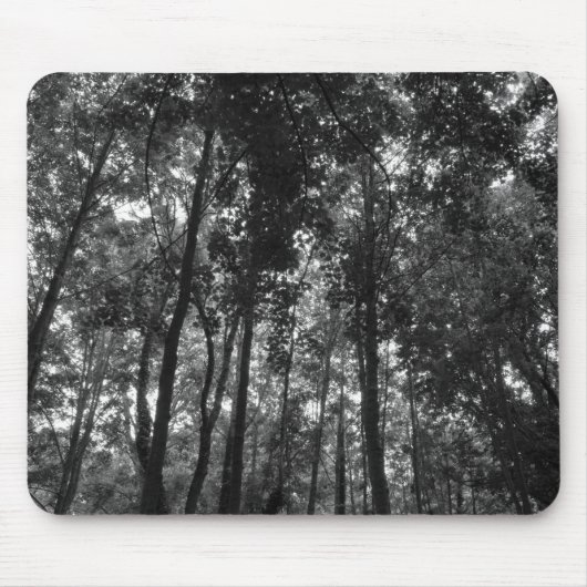Woodland Canopy 02 BW Muismat (Voorkant)
