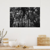 Woodland Canopy 02 BW Poster (Keuken)
