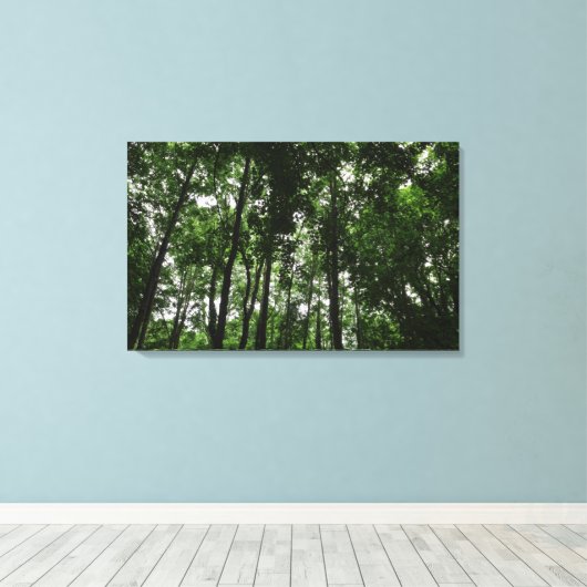 Woodland Canopy 02 Canvas Afdruk (Insitu (Houten vloer))