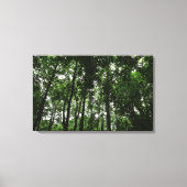 Woodland Canopy 02 Canvas Afdruk (Voorkant)