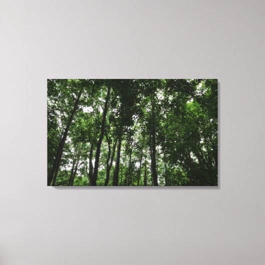 Woodland Canopy 02 Canvas Afdruk (Voorkant)