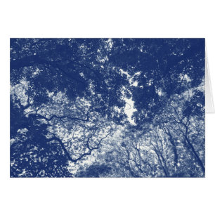 Woodland Canopy 02 - Cyanotype Effect