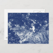 Woodland Canopy (02) - Cyanotype Effect Briefkaart (Voorkant / Achterkant)