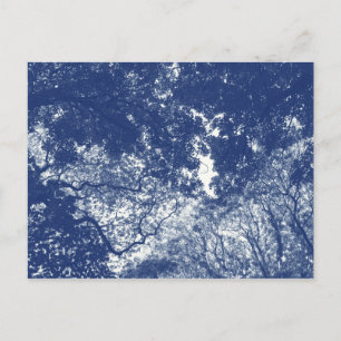 Woodland Canopy (02) - Cyanotype Effect Briefkaart