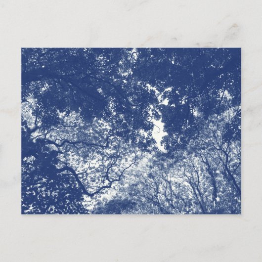 Woodland Canopy (02) - Cyanotype Effect Briefkaart (Voorkant)