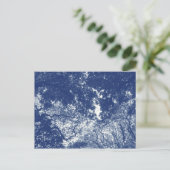 Woodland Canopy (02) - Cyanotype Effect Briefkaart (Staand voorkant)