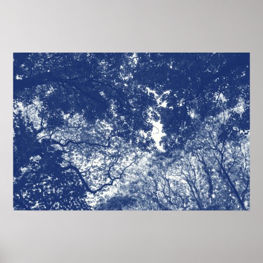 Woodland Canopy 02 - Cyanotype Effect Poster (Voorkant)