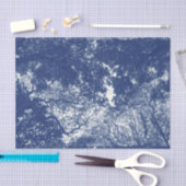 Woodland Canopy (02) - Cyanotype Effect Tissuepapier (Craft)