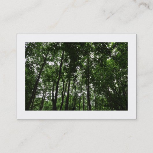 Woodland Canopy 02 (Gegreneerd) Visitekaartje (Voorkant)