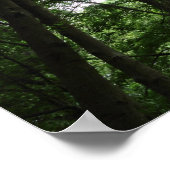 Woodland Canopy 02 Poster (Hoek)