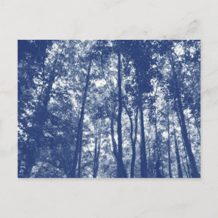 Woodland Canopy - Cyanotype Effect Briefkaart