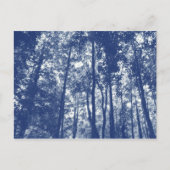 Woodland Canopy - Cyanotype Effect Briefkaart (Voorkant)