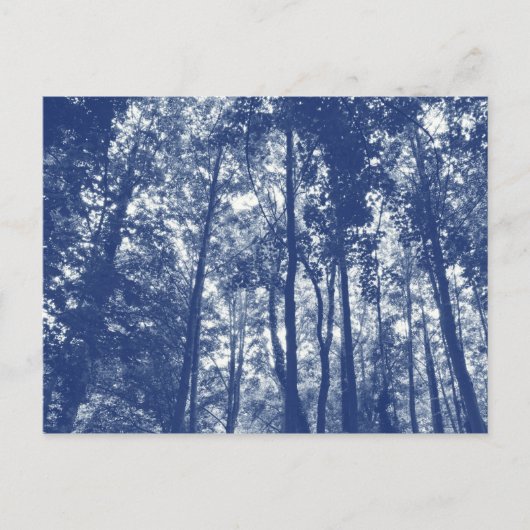 Woodland Canopy - Cyanotype Effect Briefkaart (Voorkant)
