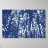 Woodland Canopy - Cyanotype Effect Poster (Voorkant)