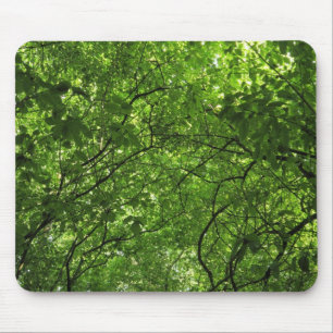 Woodland Canopy Muismat