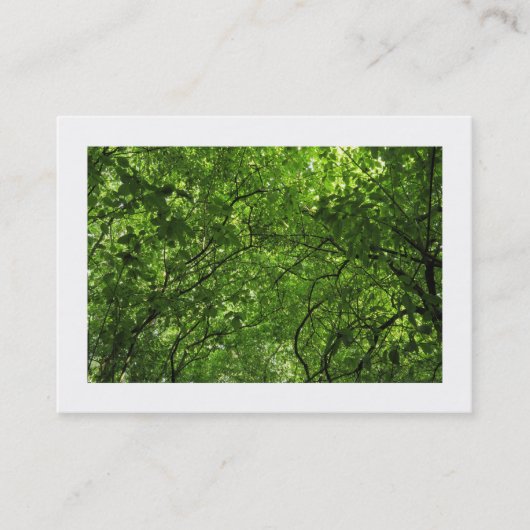 Woodland Canopy Visitekaartje (Voorkant)