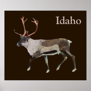 Woodland Cariou Poster