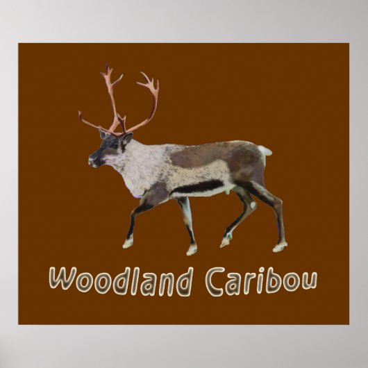 Woodland Cariou Poster (Voorkant)