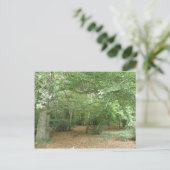Woodland Clearing Briefkaart (Staand voorkant)