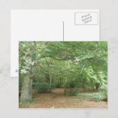 Woodland Clearing Briefkaart (Voorkant / Achterkant)