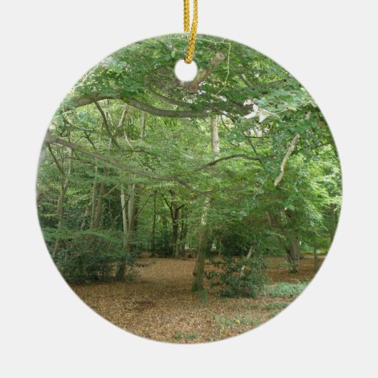 Woodland Clearing Ornament (Voorkant)