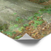 Woodland Clearing Print (Hoek)