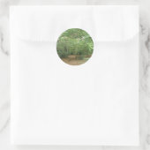 Woodland Clearing Stickers (Tas)