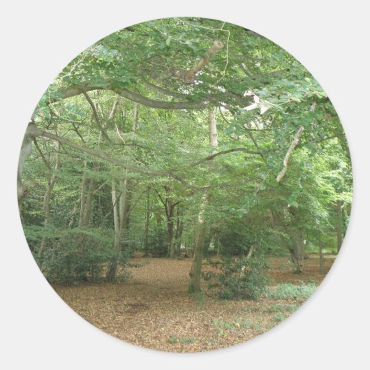 Woodland Clearing Stickers (Voorkant)