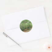 Woodland Clearing Stickers (Envelop)