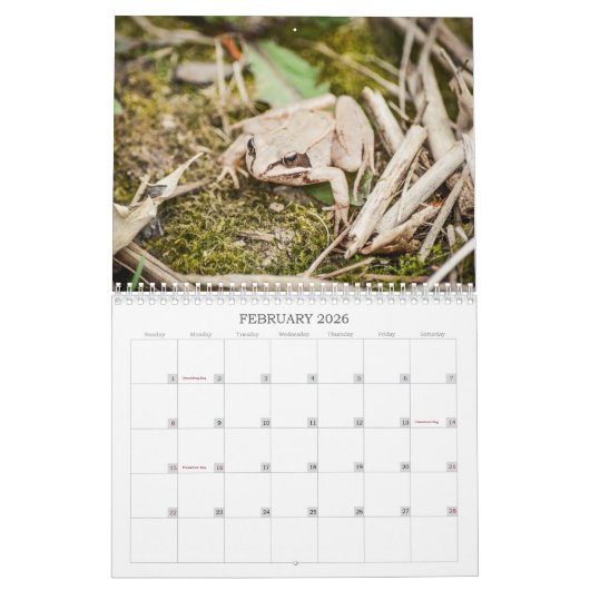 Woodland Creatures Nature  Kalender (Feb 2026)