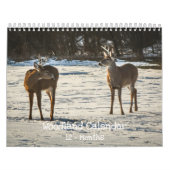 Woodland Creatures Nature  Kalender (Hoes)