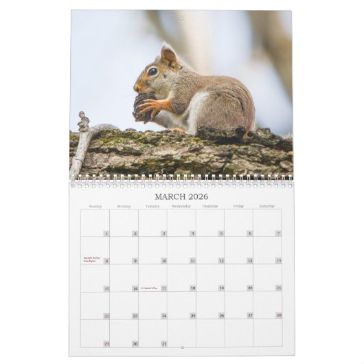 Woodland Creatures Nature  Kalender (Mar 2026)