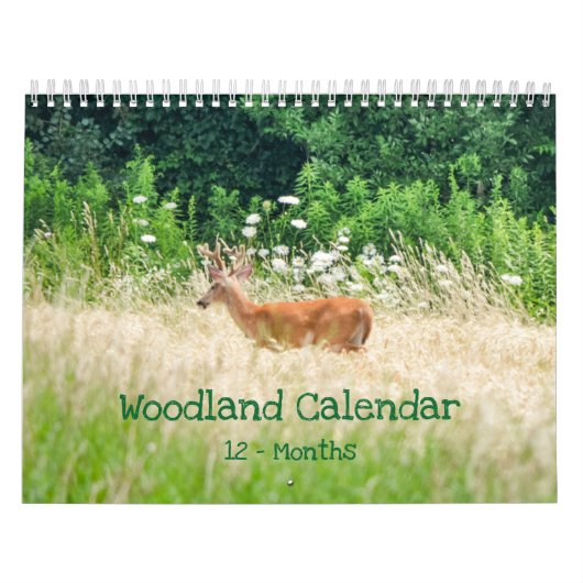 Woodland Creatures Natuur Kalender (Hoes)