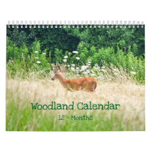 Woodland Creatures Natuur Kalender