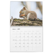 Woodland Creatures Natuur Kalender (Mar 2027)