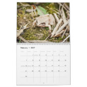Woodland Creatures Natuur Kalender (Feb 2027)