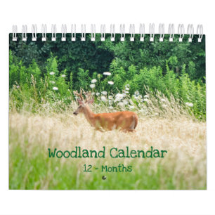 Woodland creeert Natuur Small Calendar Kalender