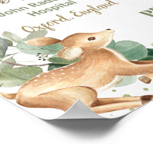 Woodland Dieren Groen Baby Geboorte Print Statisti (Hoek)