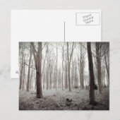 Woodland Dream Briefkaart (Voorkant / Achterkant)