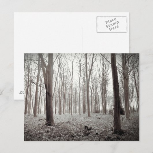 Woodland Dream Briefkaart (Voorkant / Achterkant)