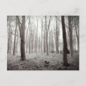 Woodland Dream Briefkaart (Voorkant)