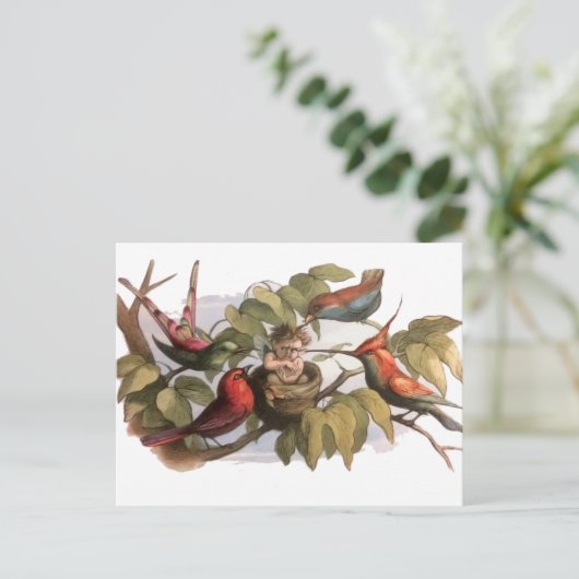 Woodland Elf in Nest: Antiek Bird Sprite Fairy Briefkaart (Staand voorkant)