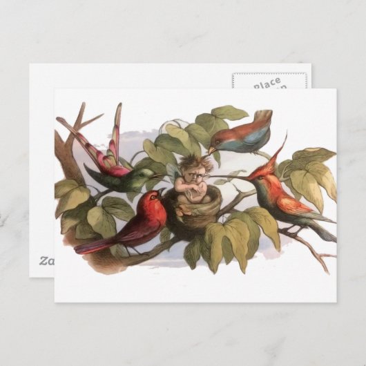 Woodland Elf in Nest: Antiek Bird Sprite Fairy Briefkaart (Voorkant / Achterkant)