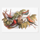 Woodland Elf in Nest: Antiek Bird Sprite Fairy Inpakpapier Vel (Voorkant)