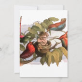 Woodland Elf in Nest: Antiek Bird Sprite Fairy Kaart (Achterkant)