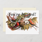 Woodland Elf in Nest: Antiek Bird Sprite Fairy Kaart (Voorkant / Achterkant)