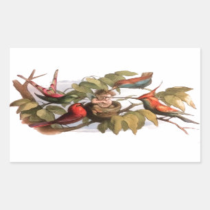 Woodland Elf in Nest: Antiek Bird Sprite Fairy Rechthoekige Sticker