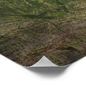 Woodland Encounter Poster (Hoek)