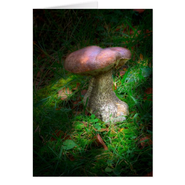Woodland Fairy Mushroom blanco notelet / kaart (Voorkant)